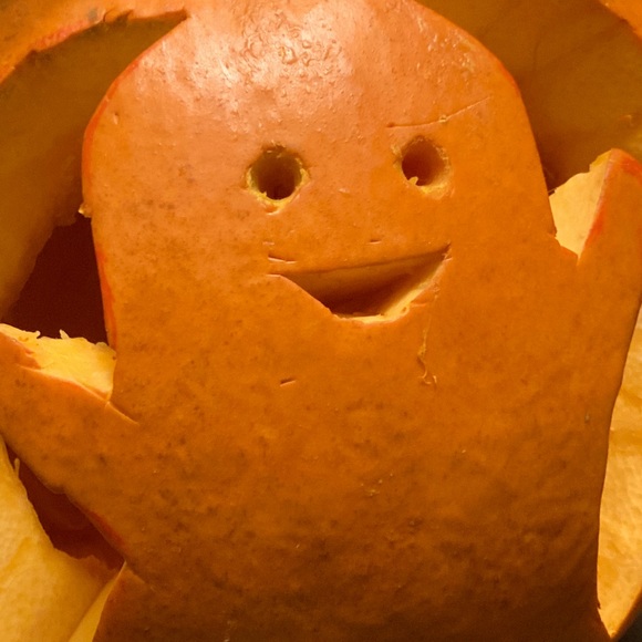 Meet your Posher, Chitra - Picture 1 of 1